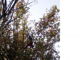 photo coins arrondis